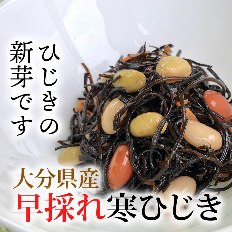 【大分県産ひじき使用】早採れ寒ひじき20g×2袋セット【送料無料】【ポスト投函】