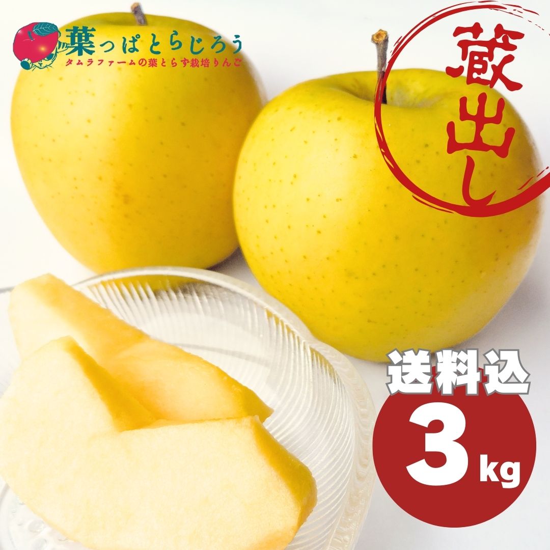 【予約注文】蔵出しシナノゴールド訳ありご家庭用【送料込】【3/15前後から出荷】【葉っぱとらじろう】【りんご】【青森県産】【タムラファーム農園直送】【期間限定】