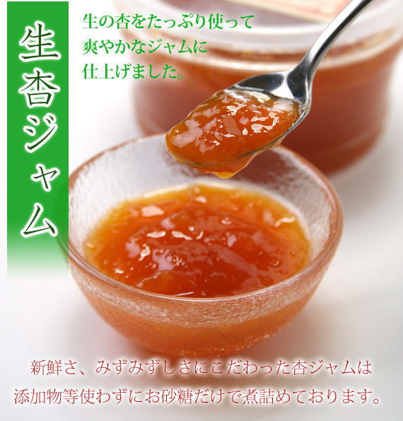 新発売★【４７クラブ限定5箱】生杏ジャム2倍の濃厚プレミアム杏アイス（生杏ジャムハーコット使用）　6個セット【送料込み】