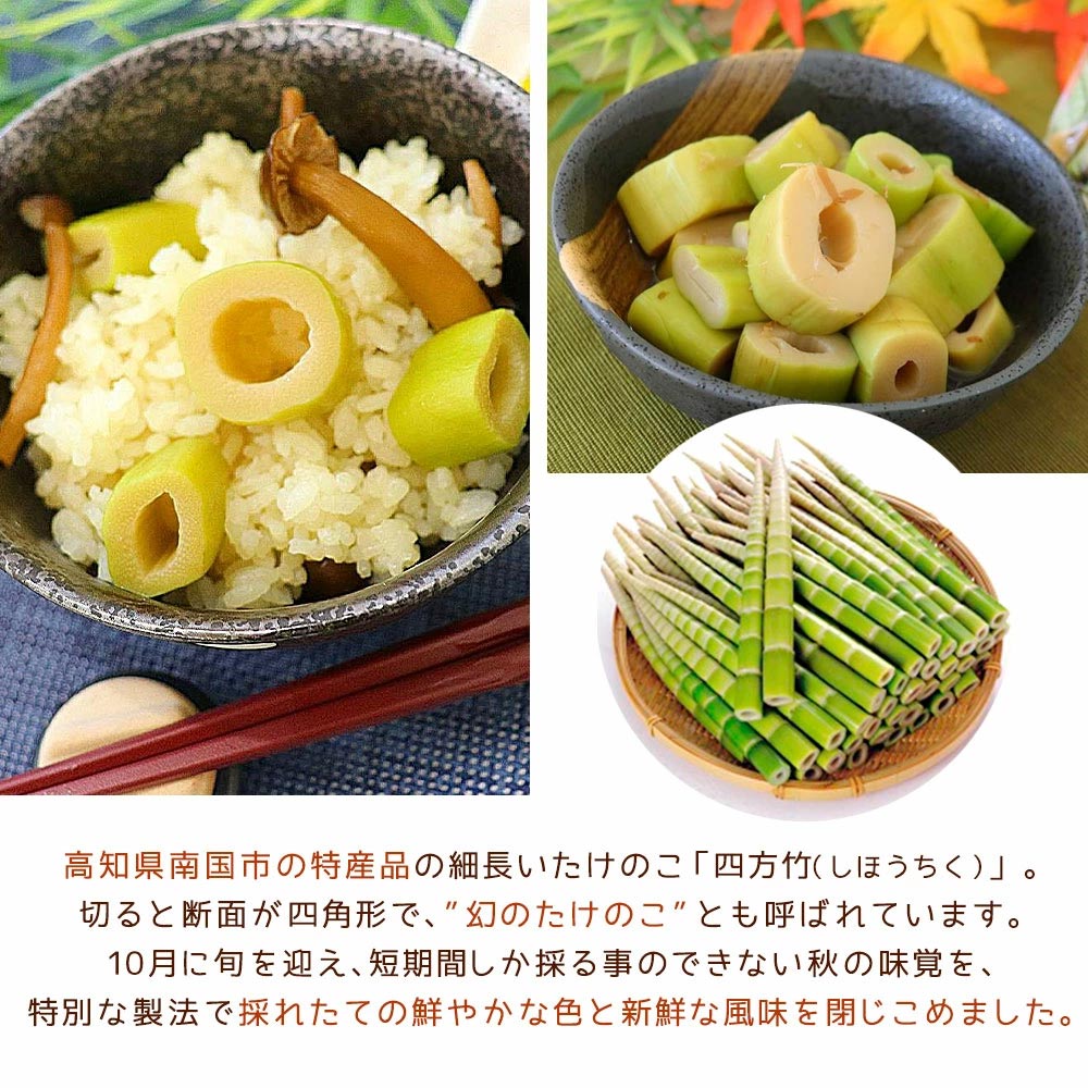 四方竹 (土佐煮・ 飯のもと) セット 土佐煮【2袋】 飯の素【2袋】高知　たけのこ　土佐料理司