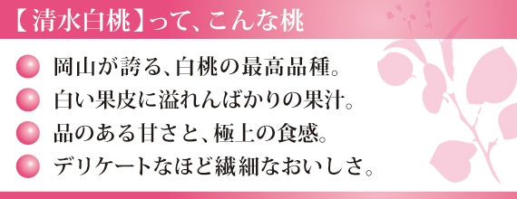 [2025年]倉敷産　白桃　3K(9～15玉)※品種指定不可　2025年6月中旬以降順次発送