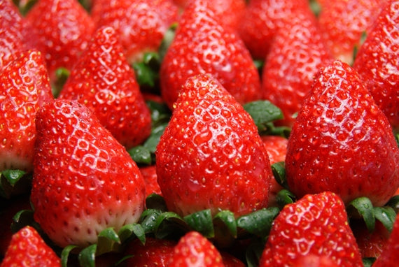 岡山県産　真っ赤な大粒いちごのビックリバスケット【特大】（約1.4㎏）★凝縮されたジューシーな美味しさが最高です！発送は１１月下旬から