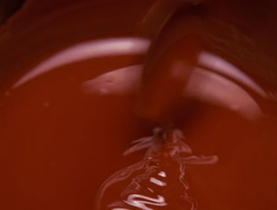 世界に認められたモーツアルトのザッハトルテ　１２ｃｍ　【チョコ・スイーツ】