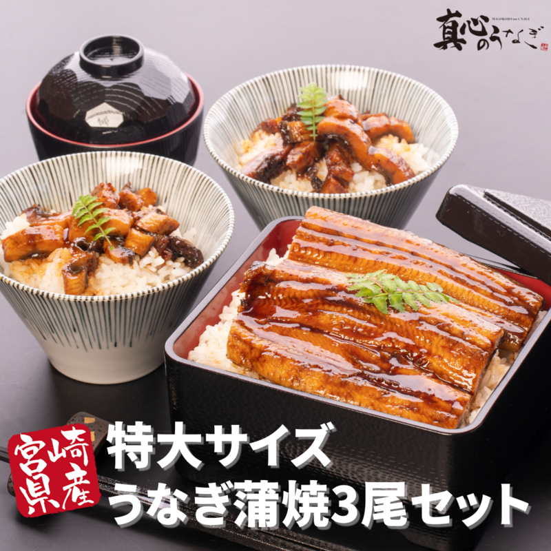 【送料無料】【宮崎県産】うなぎ長焼き3尾セット　お歳暮　国産鰻　送料無料【鮮魚・魚介類】