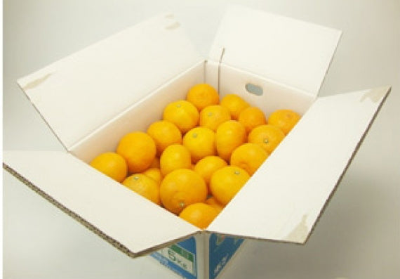 ■販売終了■｢愛媛特産」★完熟春みかん★カラマンダリン[なつみ]5kg　2L～Mサイズ（サイズ指定不可)