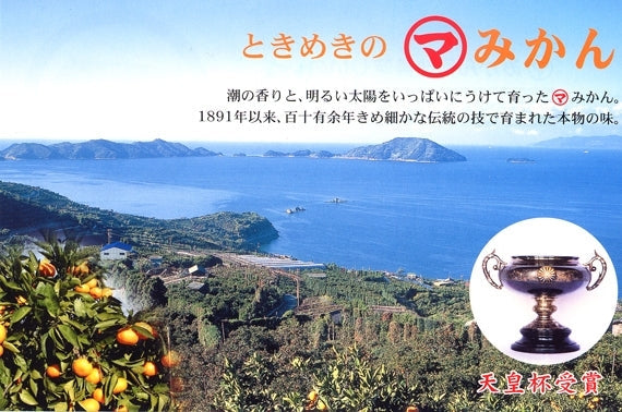 【販売中】温州みかん部門人気Ｎｏ１「西宇和特産」真穴みかん L・M・Sサイズ（サイズ指定不可） 約１０ｋｇ