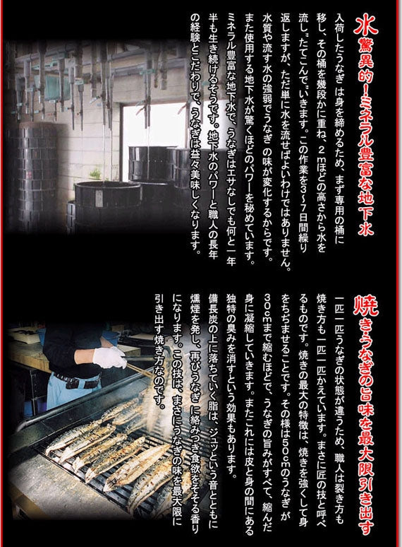 ■　一口サイズのうなぎセイロ蒸し　■　炙りうなぎ笹めし15個入【S-90】（国産）