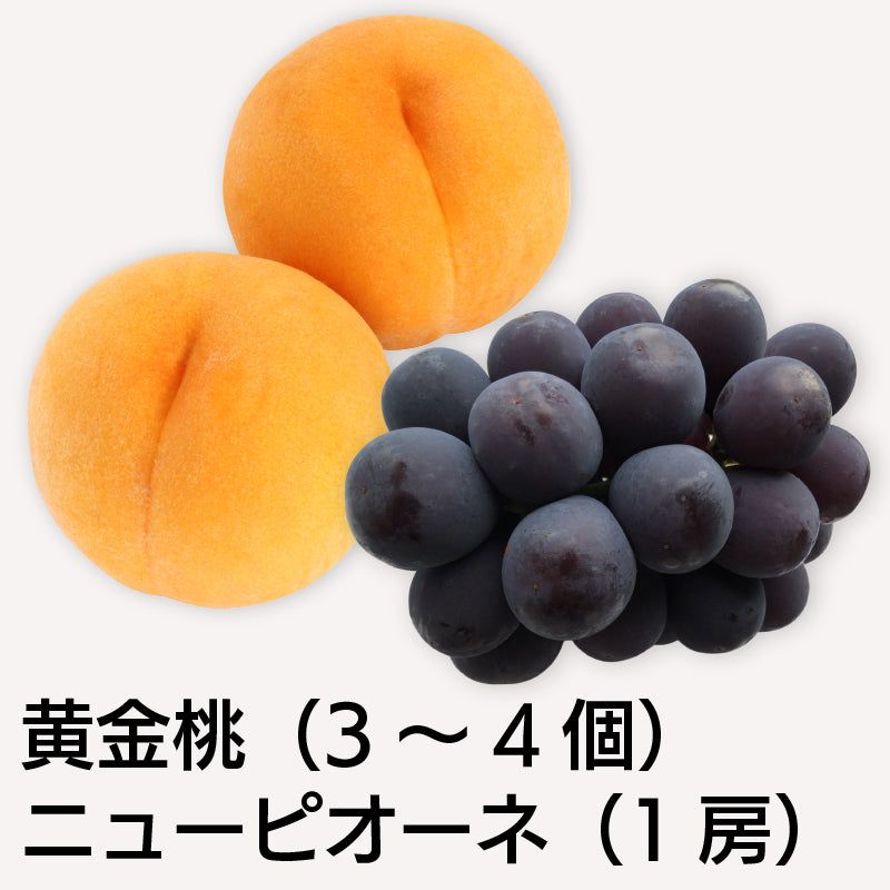 「晴れの国おかやまの隠れた逸品」岡山特産　黄金桃(3個～4個)とニューピオーネ（1房）詰合せ【発送は8月下旬から】　