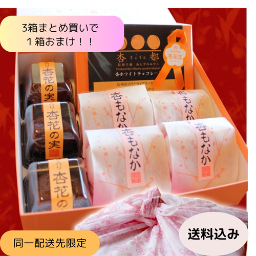 ●１２月４日限定【４７クラブ限定・送料込み・沖縄のみ別途】３箱まとめ買いでもう１箱おまけ付き・信州産杏づくし★杏もなか・杏花の実・杏チョコ（ホワイト）　詰合せセットC３箱＋１箱