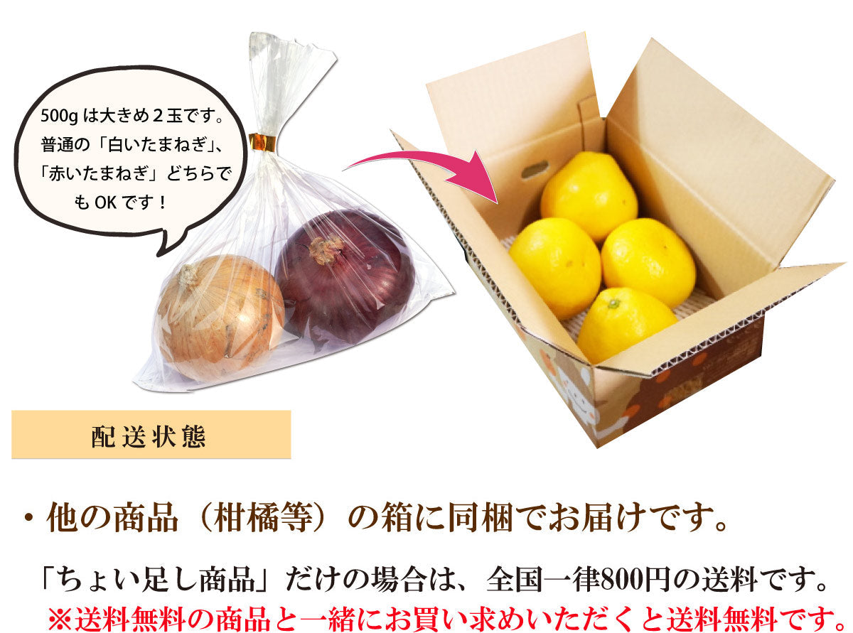 【他の商品にちょい足しで送料無料】少し欲しい時に♪たまねぎ（約500ｇ＝大きめ２玉）＜佐賀県福富産＞