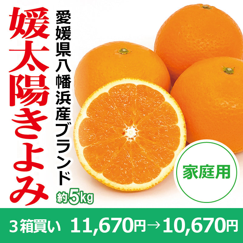 ※今季販売終了※【送料無料】愛媛県産「きよみ」‐媛太陽きよみ-〈家庭用〉約5kg