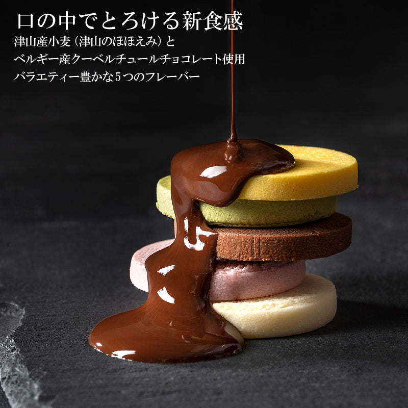 【送料無料】おもてなしセレクション2022年度金賞受賞！とろけるショコラクッキー鏡野ほろり（24枚入）