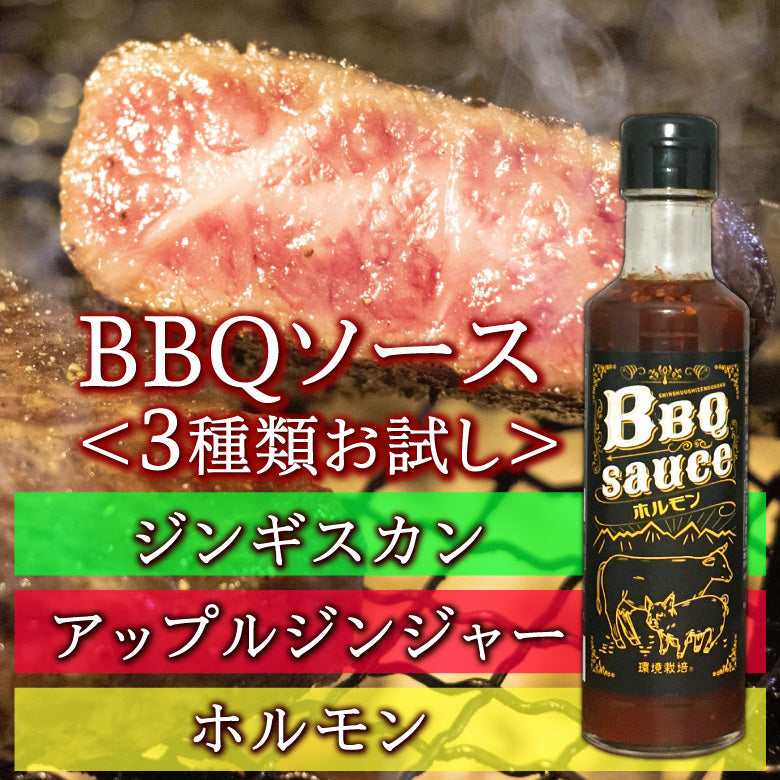 焼肉大好き★バーベキューソース お試しできちゃう３種類セット BBQ 焼肉のたれ【おうち焼肉をグレードアップ！味を変えてみて】