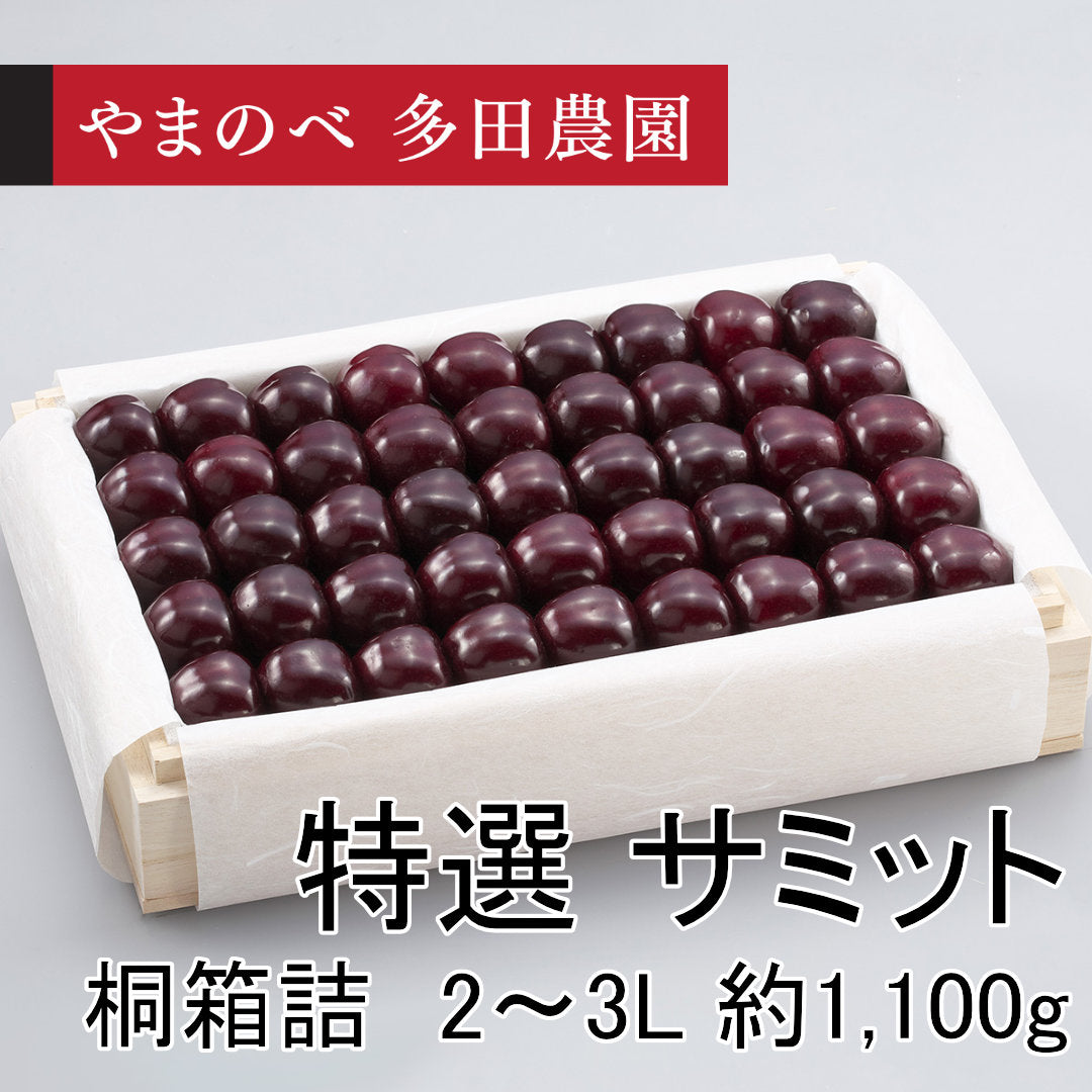 黒いさくらんぼ　特選　サミット（2Lサイズ以上 桐箱詰）約1,100g　先行予約受付中