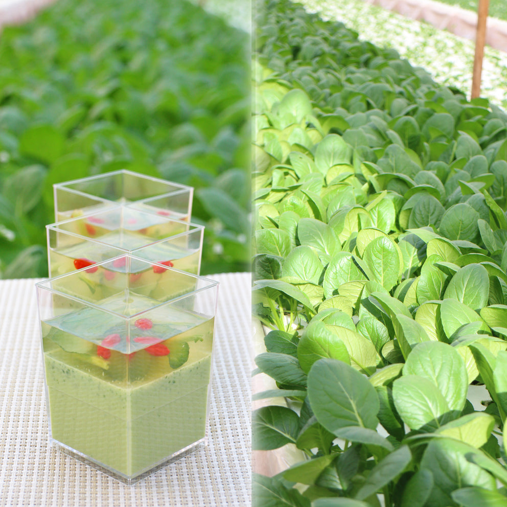 小松菜のサラダプリン ～希少糖入り～【８個入り】