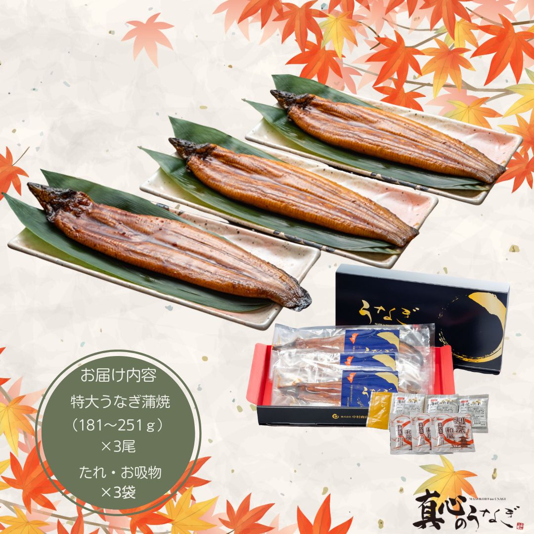 【送料無料】【宮崎県産】うなぎ長焼き3尾セット　お歳暮　国産鰻　送料無料【鮮魚・魚介類】