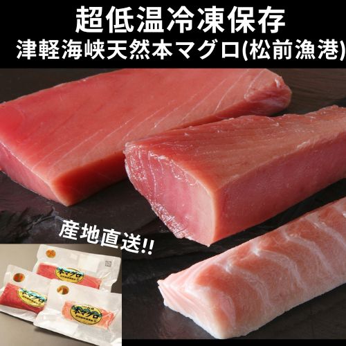 【送料無料】【産地直送】津軽海峡産・本マグロ