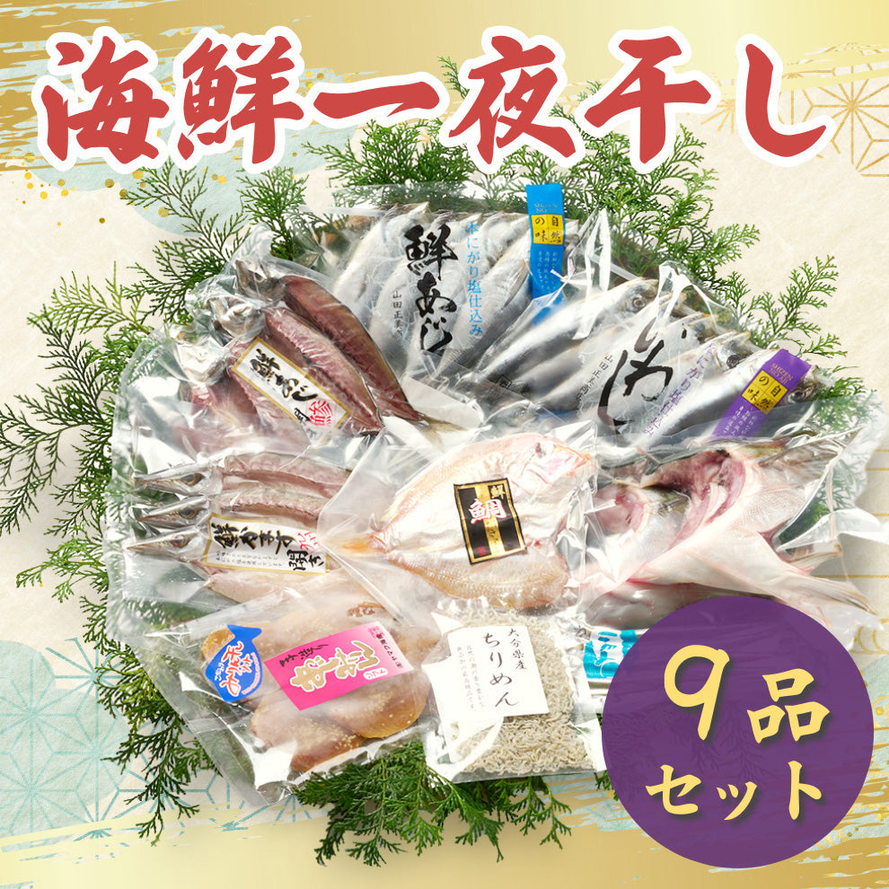 海鮮一夜干し3～９品セット【送料無料】北海道・沖縄は別途送料