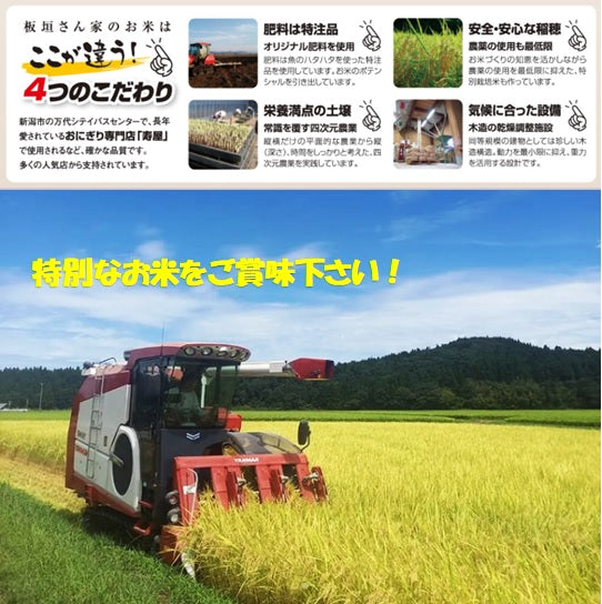 【10月中旬～発送】令和７年産　新米　板垣さん家の岩船産こしひかり　5㎏