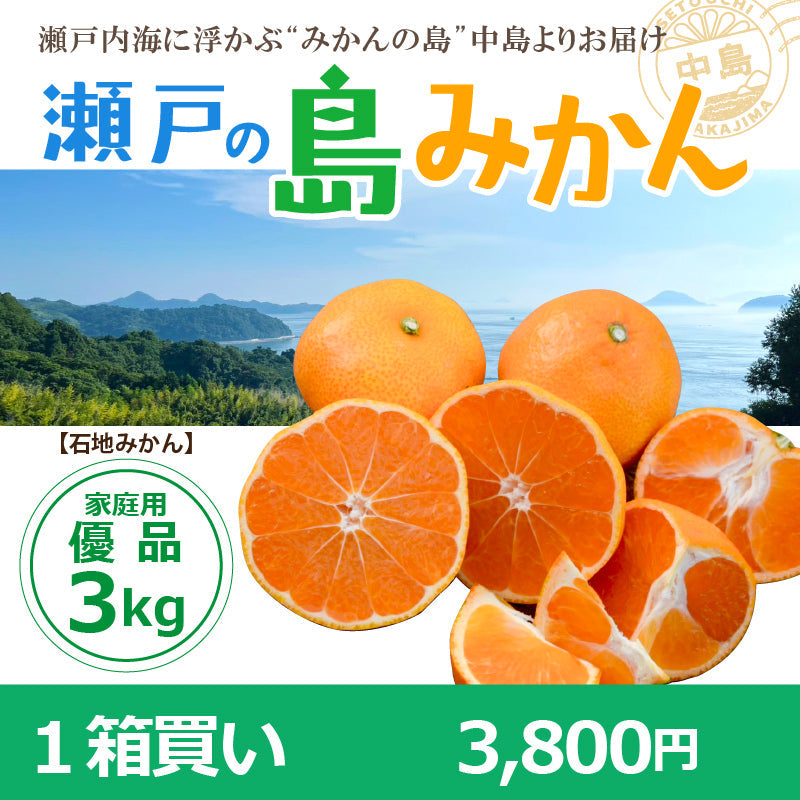 ※予約受付中※【送料無料】木成り完熟　島みかん(石地)約３kg〈家庭用・優品〉　※2026年1月頃発送予定