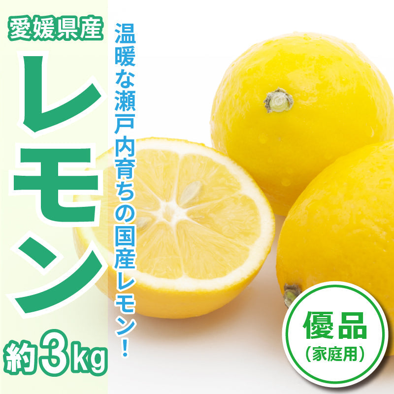 ※今季販売終了※【送料無料】愛媛県産「レモン」〈優品〉約3㎏