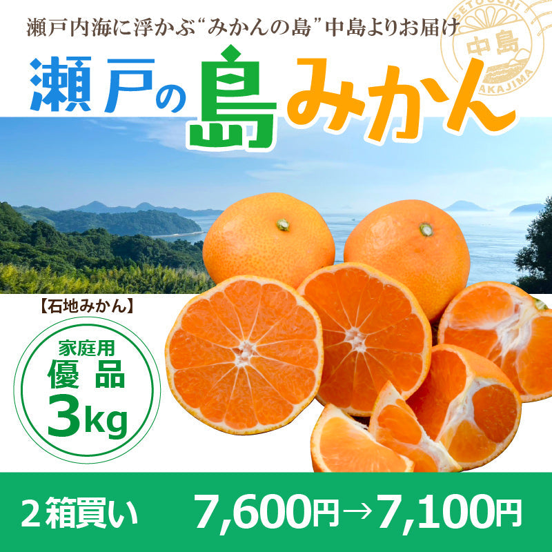 ※予約受付中※【送料無料】木成り完熟　島みかん(石地)約３kg〈家庭用・優品〉　※2026年1月頃発送予定