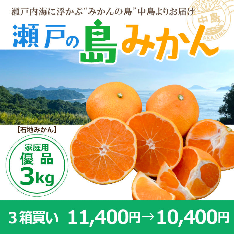 ※予約受付中※【送料無料】木成り完熟　島みかん(石地)約３kg〈家庭用・優品〉　※2026年1月頃発送予定