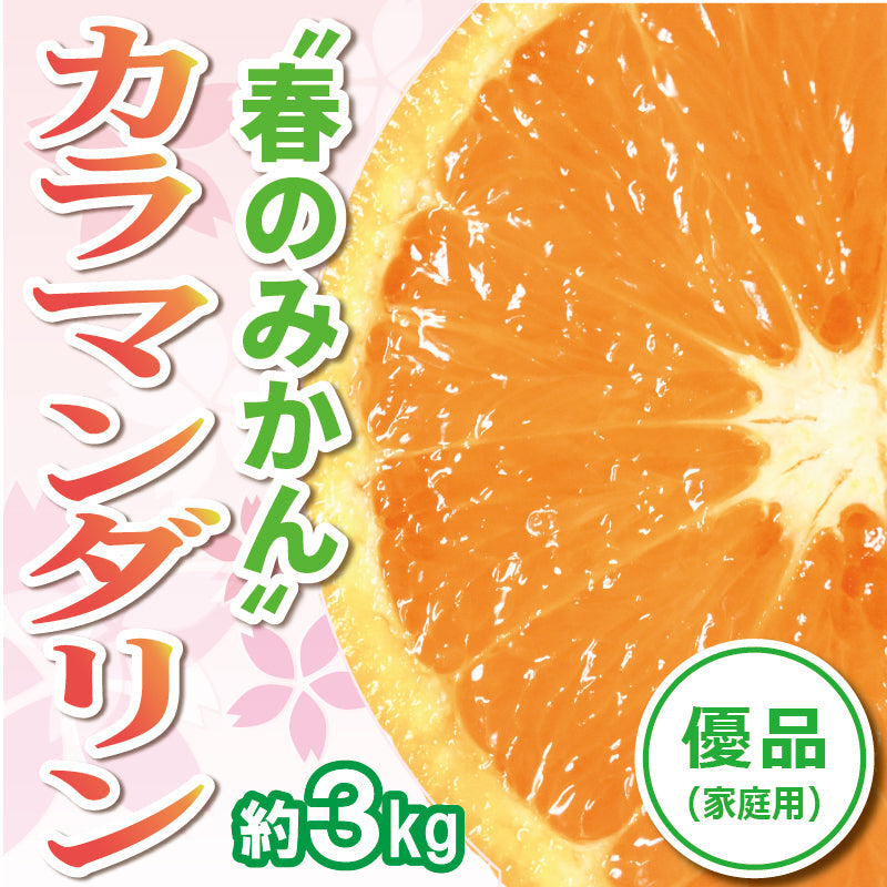 ※今季販売終了※【送料無料】春のみかん「カラマンダリン」〈優品・家庭用・小箱〉約3kg
