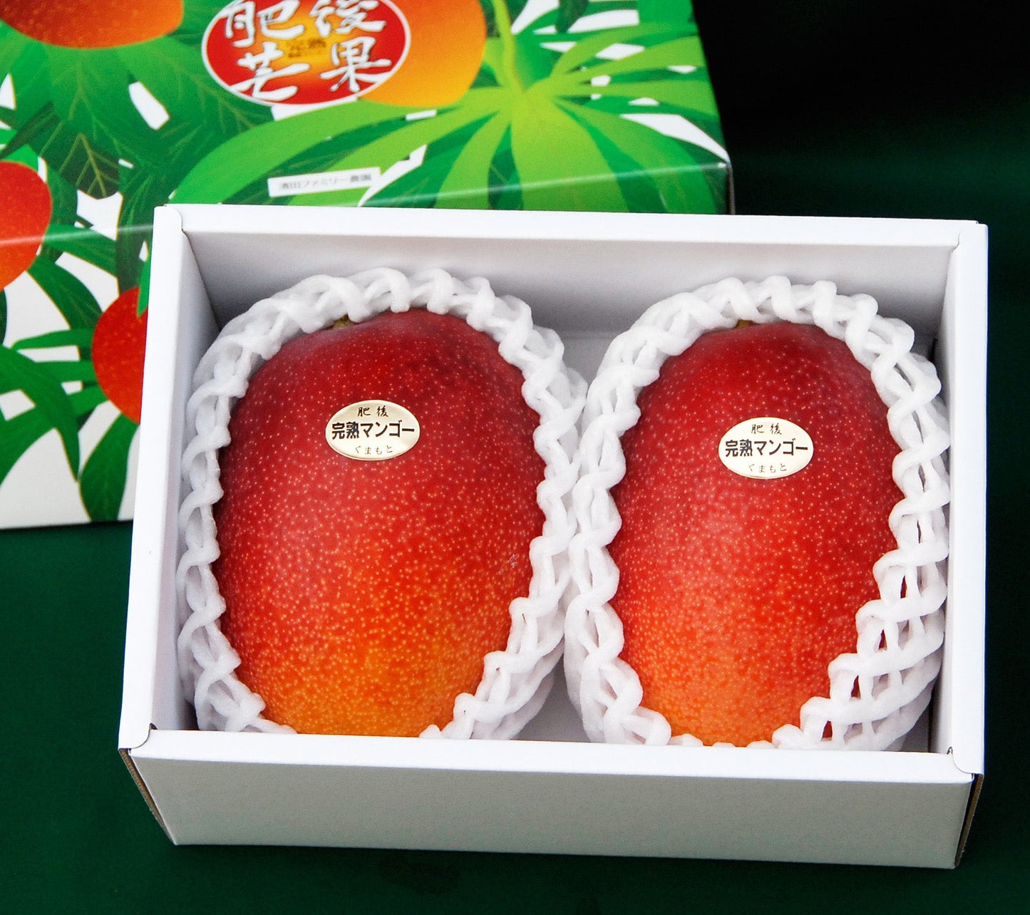 くまもと完熟マンゴー　　　3L玉×2個（計1ｋg程度）【フルーツ】