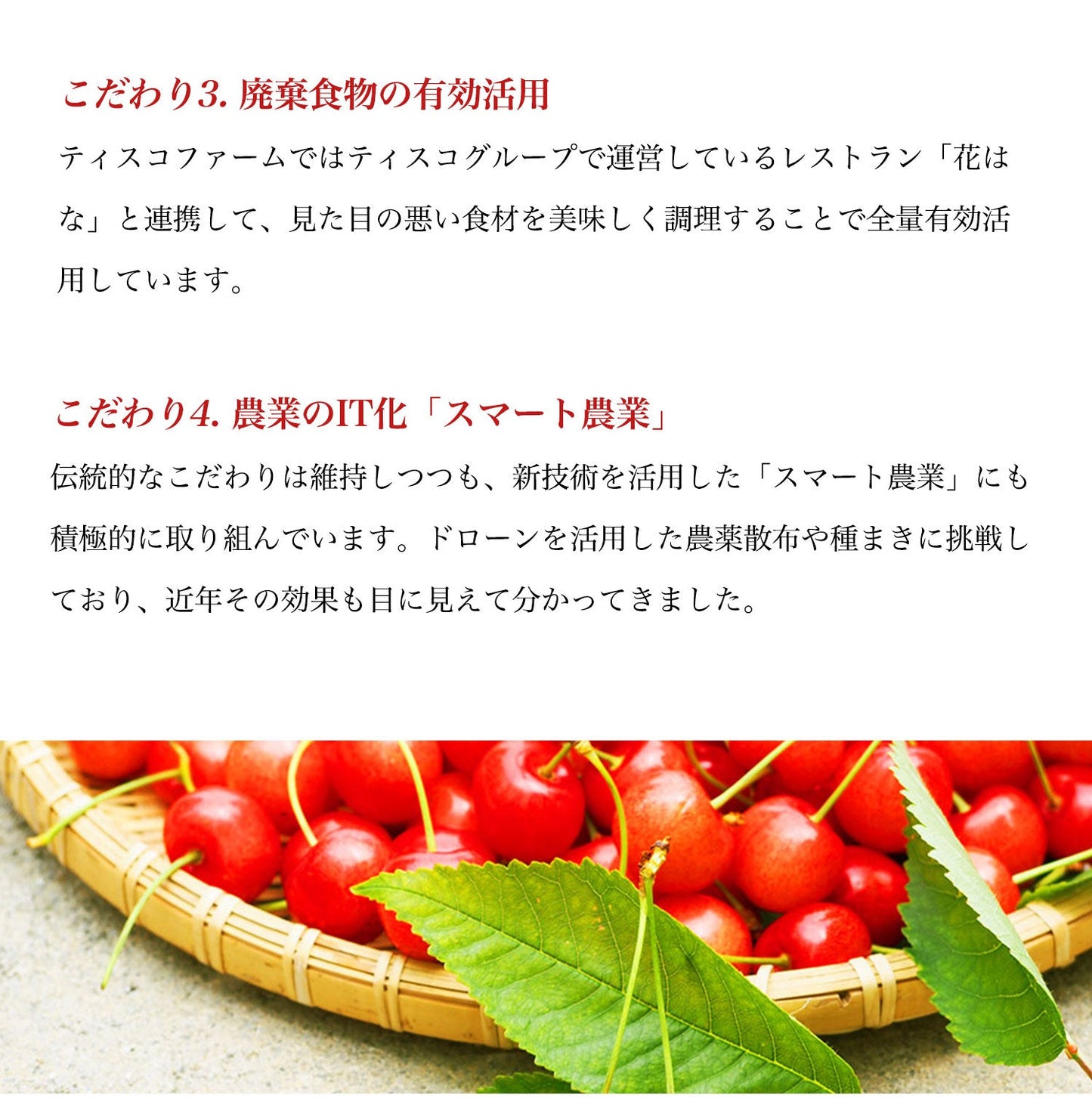 【販売終了致しました次年度販売をお待ちください】【数量限定】【期間限定】熟成サクランボ・山形県産