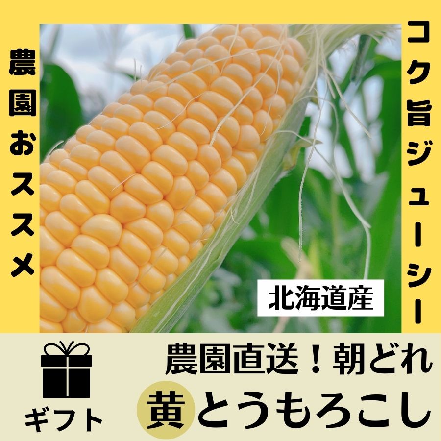 【完売御礼】＼朝どれ産直！／定番・芳醇な味わいの黄色とうもろこし 10本セット【送料込】