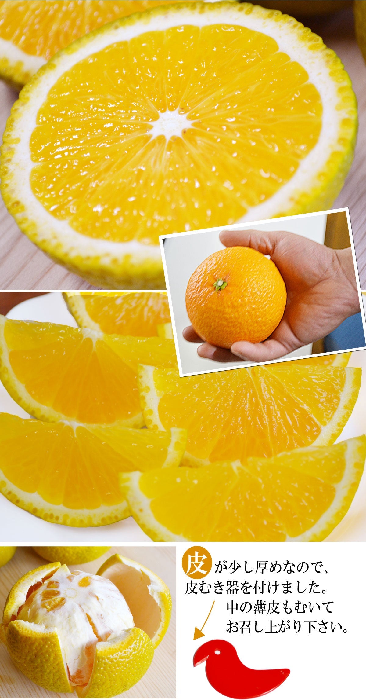 【はっさく＆温州みかん】爽やかな美味しさ★スイートスプリング★