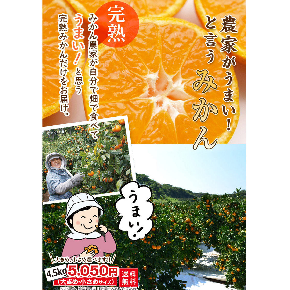 【完熟！甘酸っぱい！】★農家が旨い！と言うミカン 4.5ｋｇ（サイズを選べます）★