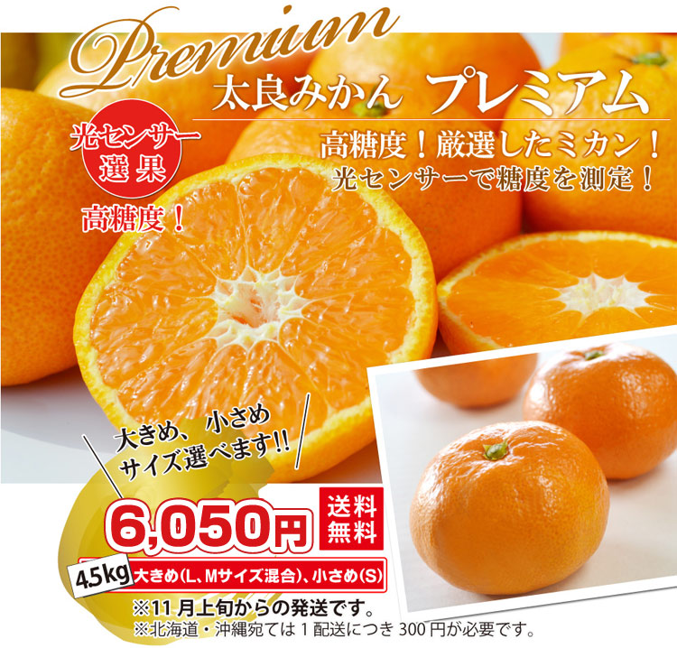 【高糖度！】★太良みかん『プレミアム』4.5kg（大きめ・小さめ選べます。）