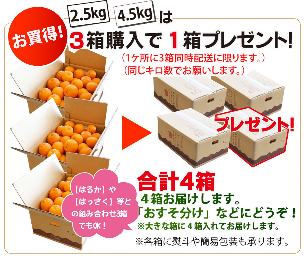 【春の柑橘】濃厚な甘さとサクサクの食感★ポンカン★