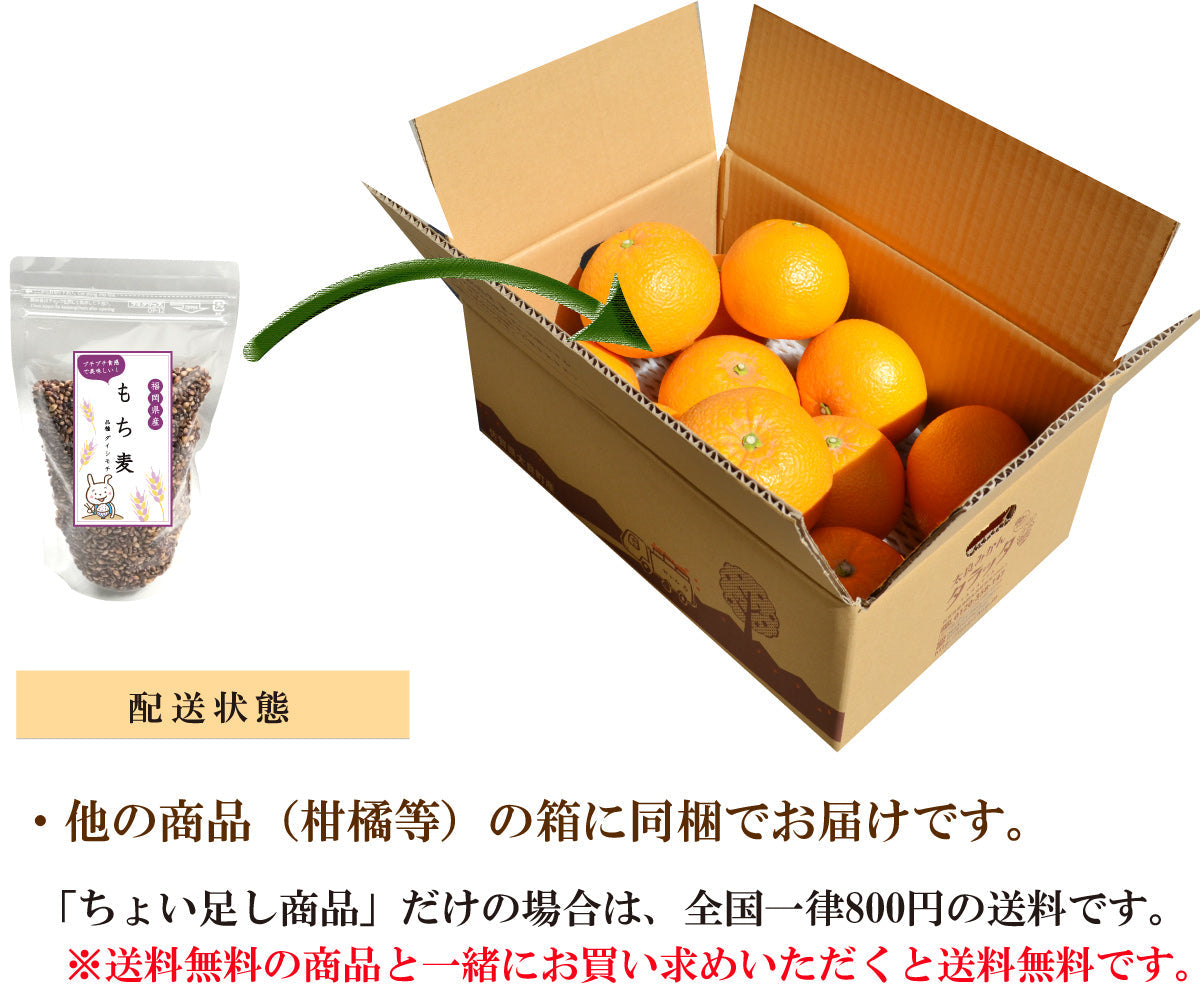 【他の商品にちょい足しで送料無料】豊富な食物繊維！！プチプチの食感！もち麦（300ｇ）＜福岡県産＞