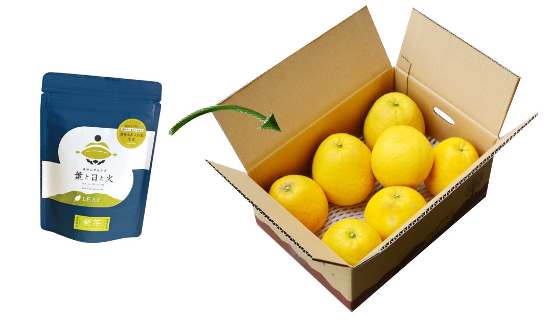 【他の商品にちょい足しで送料無料】とってもおススメの「出汁パック」3種類★天然国産素材★無添加★