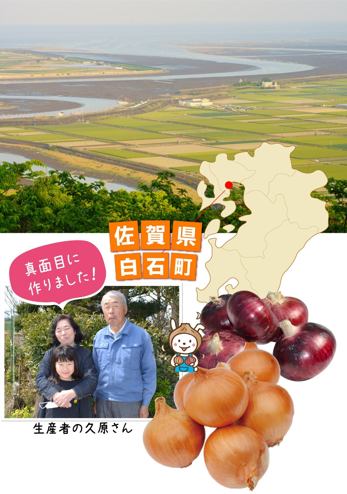 ＜佐賀県白石町ふくどみ産＞★しろいし平野の潮風たまちゃん （M～2L混合）