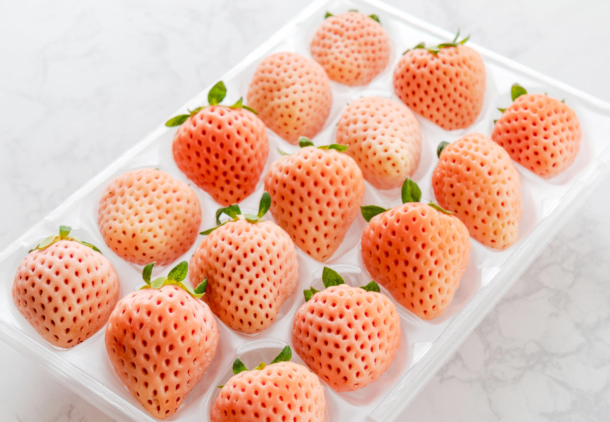 【甘味と酸味の織りなす美味しさ♪】赤と白のいちごのセット（「淡雪」＆「旬の赤いちご」各1パック入）＜佐賀県産＞