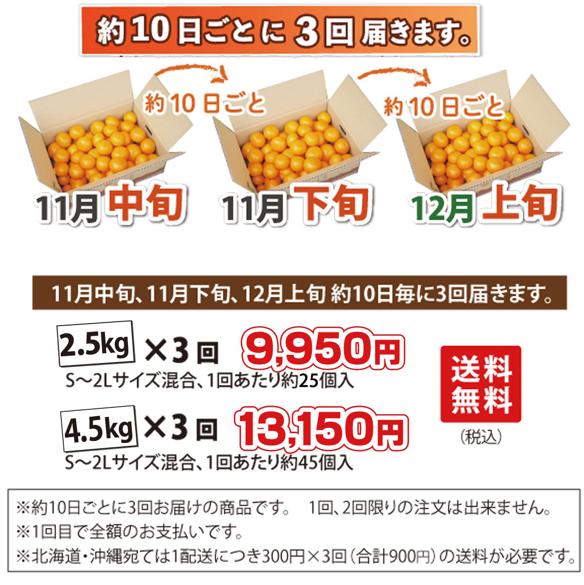 ＼＼ミカンが美味しい季節だから／／早生みかん定期便（約10日毎に3回届く）