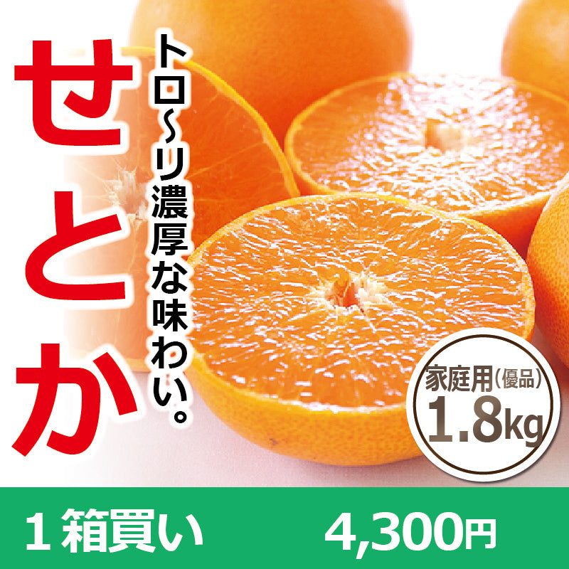 ※今季販売終了※【送料無料】高級ブランドかんきつ「せとか」〈家庭用・優品 小箱〉約1.8kg　※発送は２月中旬～３月中旬予定