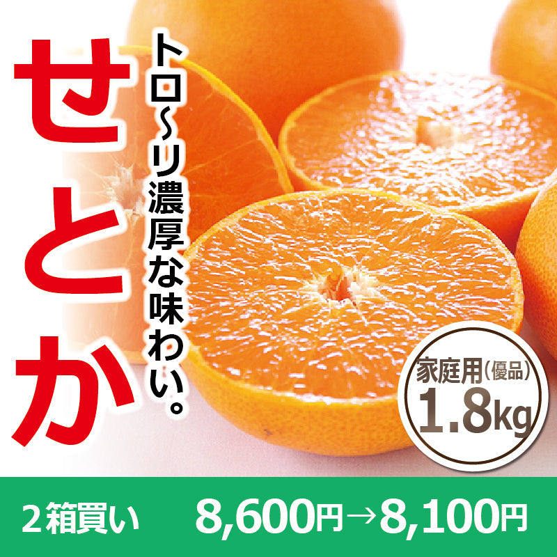 ※今季販売終了※【送料無料】高級ブランドかんきつ「せとか」〈家庭用・優品 小箱〉約1.8kg　※発送は２月中旬～３月中旬予定