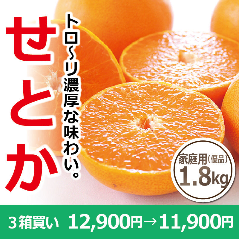 ※今季販売終了※【送料無料】高級ブランドかんきつ「せとか」〈家庭用・優品 小箱〉約1.8kg　※発送は２月中旬～３月中旬予定