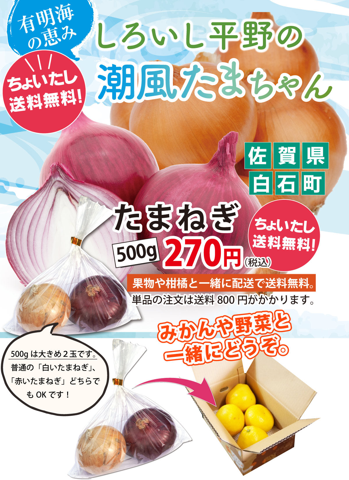 【他の商品にちょい足しで送料無料】少し欲しい時に♪たまねぎ（約500ｇ＝大きめ２玉）＜佐賀県福富産＞