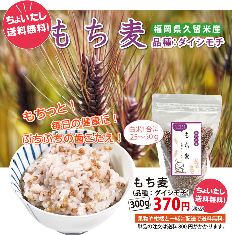 【他の商品にちょい足しで送料無料】豊富な食物繊維！！プチプチの食感！もち麦（300ｇ）＜福岡県産＞
