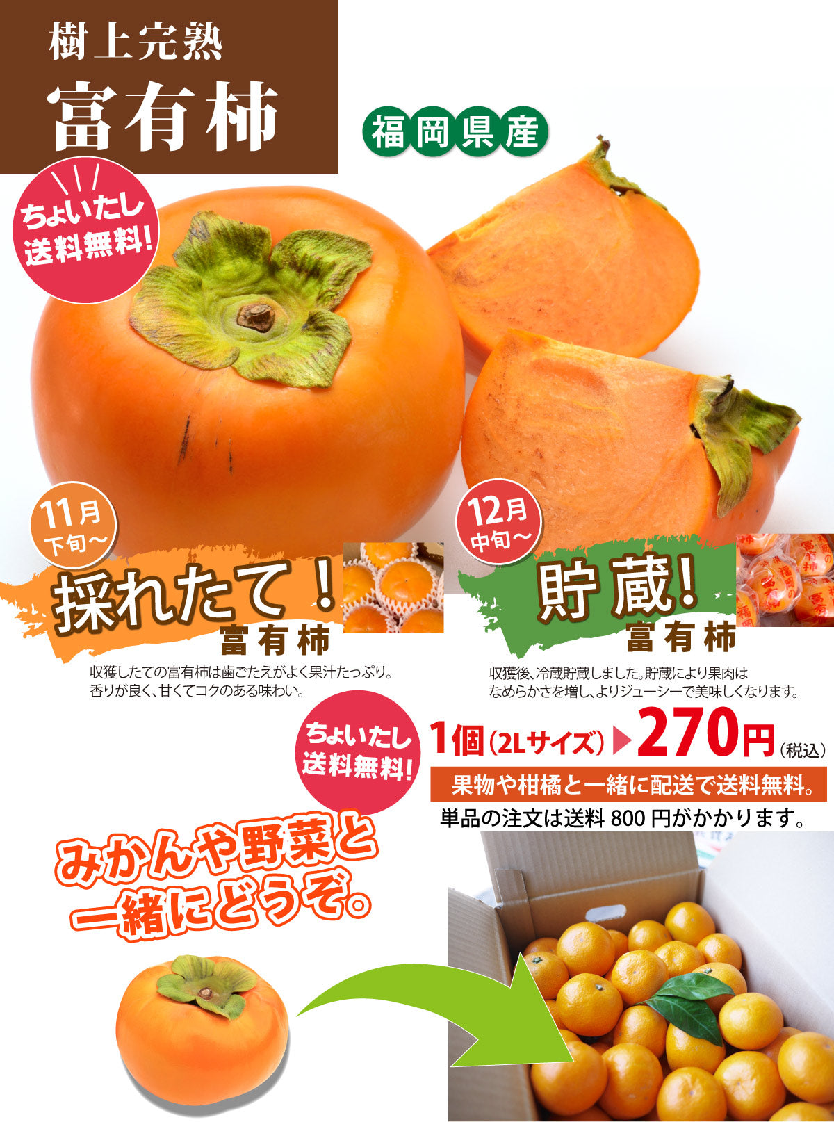 【ちょい足し！送料無料！！】＜柿の王様＞★富有柿 ふゆうがき★