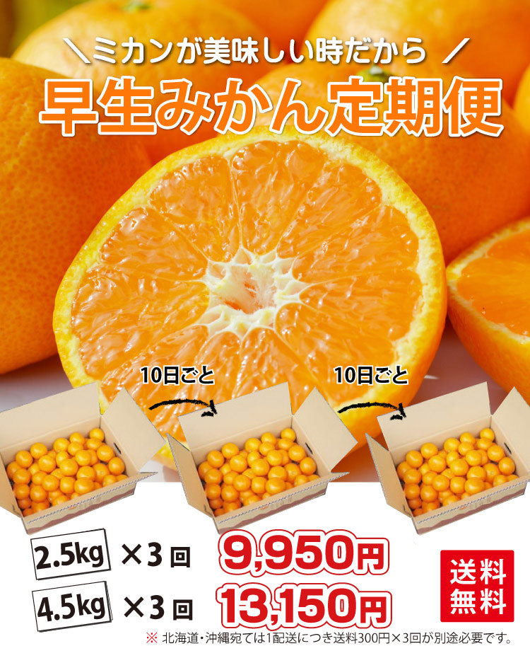 ＼＼ミカンが美味しい季節だから／／早生みかん定期便（約10日毎に3回届く）
