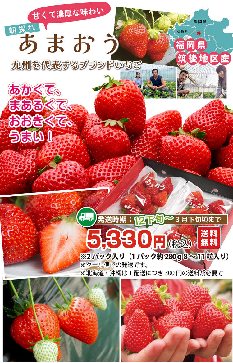 ＜12月下旬～＞【甘くて濃厚な味わい♪】九州を代表するブランドいちご「あまおう」2パック入＜福岡県産＞