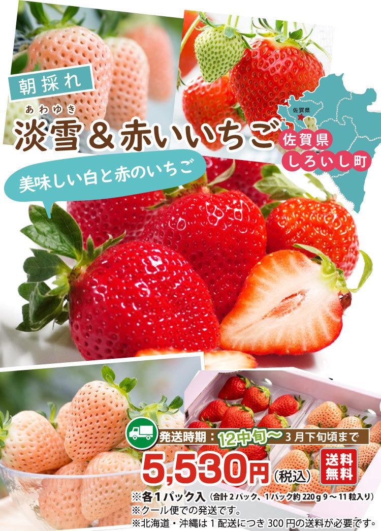 【甘味と酸味の織りなす美味しさ♪】赤と白のいちごのセット（「淡雪」＆「旬の赤いちご」各1パック入）＜佐賀県産＞