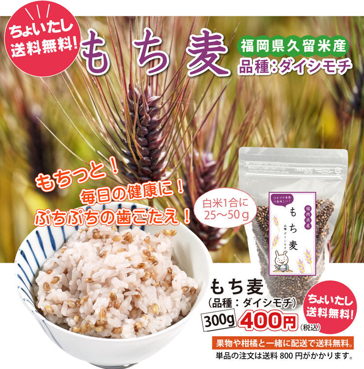 【他の商品にちょい足しで送料無料】豊富な食物繊維！！プチプチの食感！もち麦（300ｇ）＜福岡県産＞